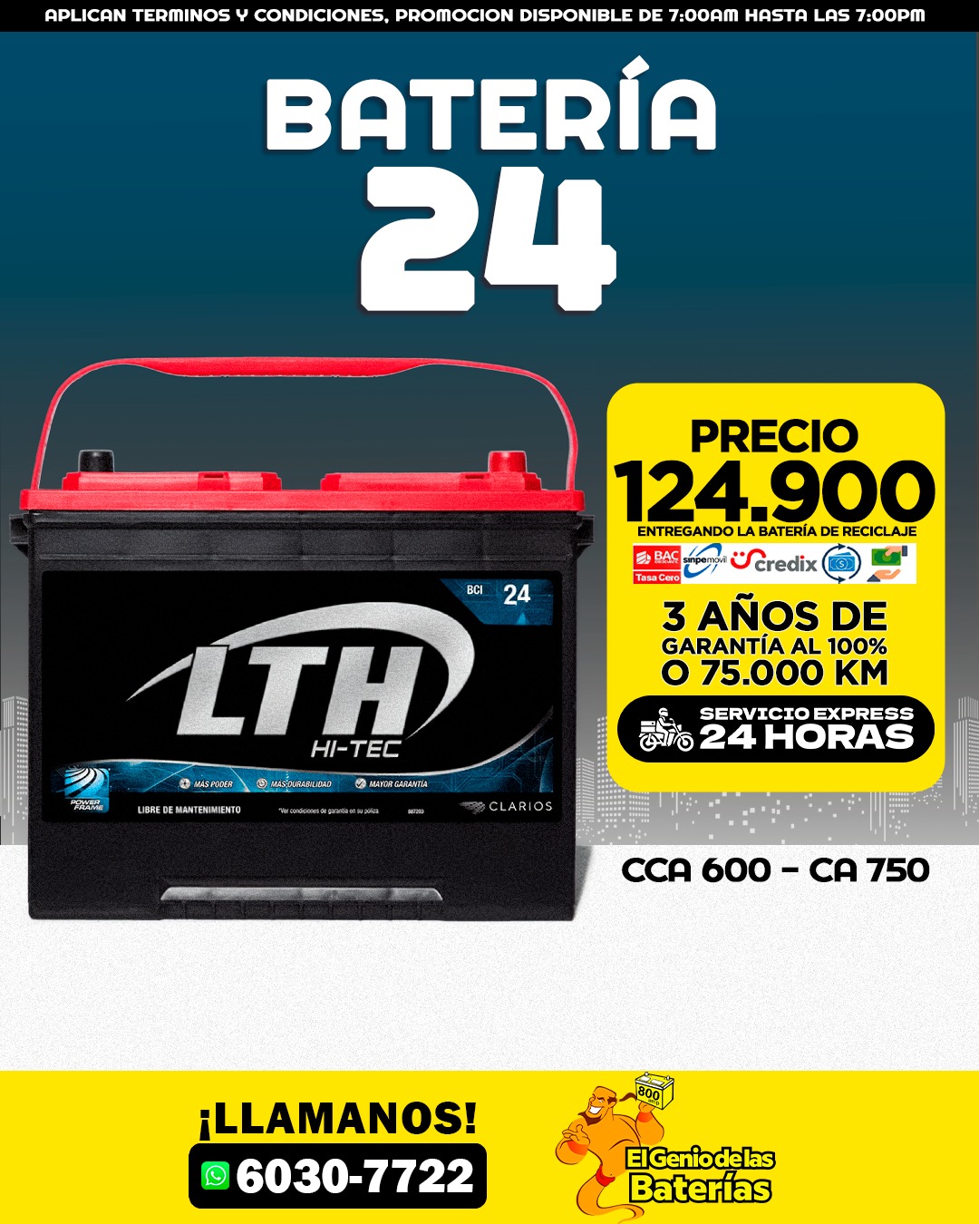 Batería LTH HITEC N50/24R