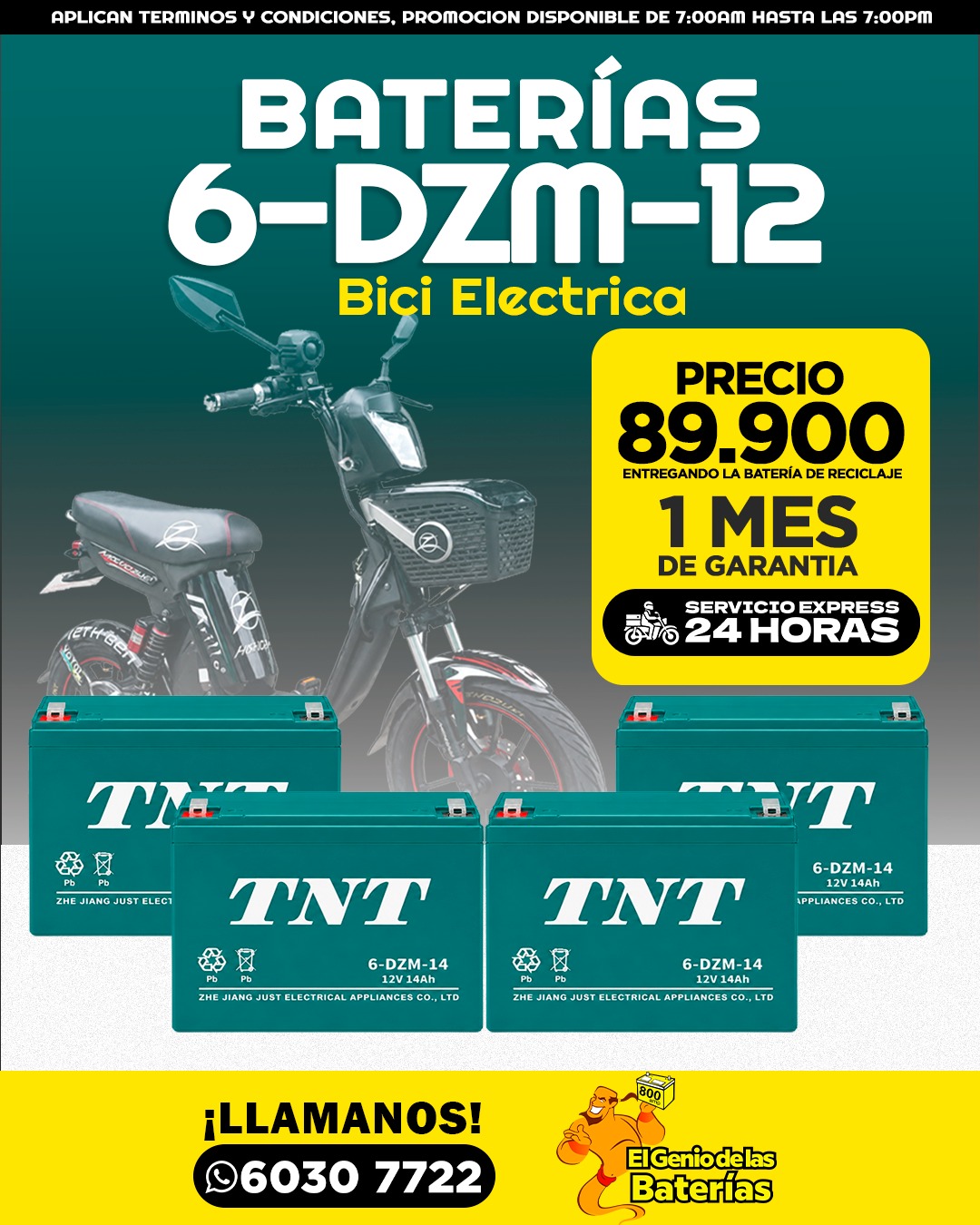 BATERIA TNT  6-DZF-12