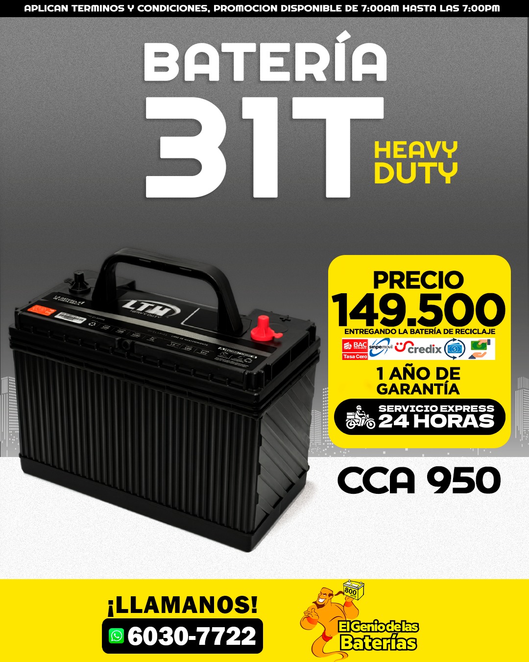 LTH 31 T